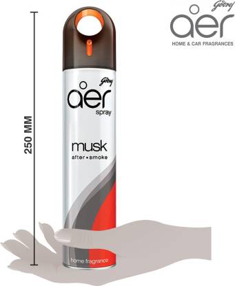 Godrej Aer Room Freshener - Musk After Smoke Spray  (220 ml)